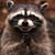 Andrew Netteberg's profile image