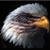 Debra Lindboe Minelli's profile image