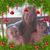 Carol Bella-Kowalchuk's profile image
