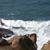 Debbie Haynes Stover's profile image