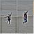 Stacy Pirone's profile image