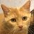 Kam Sisco's profile image