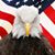 Don Sippel's profile image