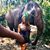 Kelsey Shulman's profile image