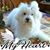 Sandra Baker's profile image