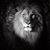 David Martinez's profile image