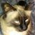 Terra Johnson's profile image