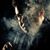 Sherif Alaa Zamalkawe Samem's profile image