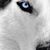 Oscar Montes Melgoza's profile image