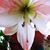 Kathleen Anderson's profile image