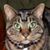 Pamela Scott's profile image
