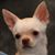 Kandr Dwyer's profile image