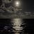 Tami Donofrio's profile image