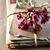 Kathryn Gionet's profile image
