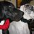 Bruce Meigs's profile image
