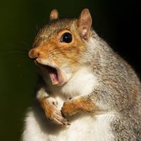 Diana Flinn's profile image