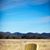 Laurie Hamlin's profile image
