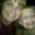 Jennifer Osburn's profile image