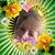 Clara Watson's profile image