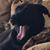 Marty Wayman's profile image