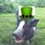 Paul Demsky's profile image