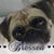 Penny Piller's profile image