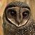 Jenna Ervin's profile image