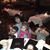 Bernice Kehoe's profile image