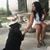 Marisela Guerrero Gomez's profile image