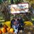 Suzi Maschke's profile image