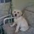 Mary Anne Bayer's profile image