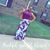 Lasheena Shelton's profile image