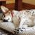 Robin Clapp Waterhouse's profile image