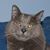 Peggy Vandevier's profile image