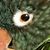 Lisa Harmon's profile image