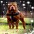 Wendy Hawkins's profile image