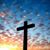 Cathleen Brown's profile image