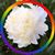 Tina Kieckhafer's profile image