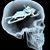 Mark D Morris's profile image