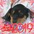 Donatella Tanzi's profile image
