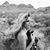 Melissa Bollman's profile image