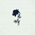 Nelly Colin Perez's profile image