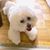 Walter Illy's profile image