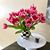 Kathy McOrmond Roeters's profile image