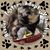 Judy Johnsen's profile image