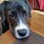 Eduardo Epling's profile image