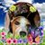 Dreama Black's profile image