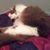Lena Wilson's profile image