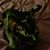 Matt Doroh's profile image