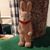 Bonnie Spinks's profile image